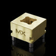 Maxx-ER Electrodo de bolsillo cuadrado de latón soporte S20